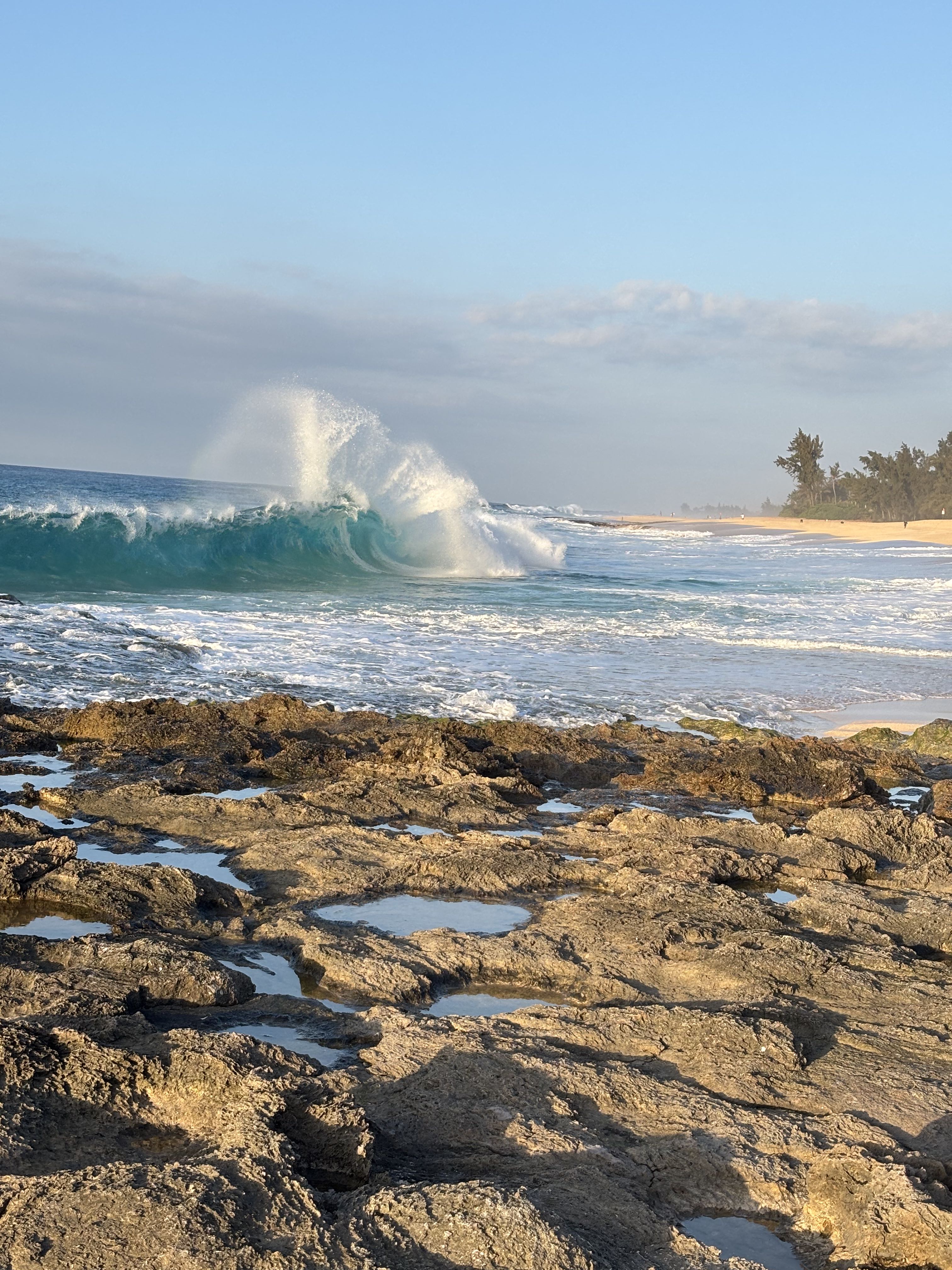 Vacation Rental Photo